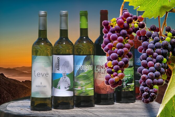 Guided Tour Beyond Vineyards Cabo Girão Skywalk and 4x4 Adventure - Experience Highlights