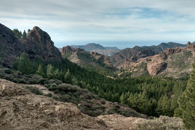 Guided Tour: Discover Gran Canaria - Tour Logistics