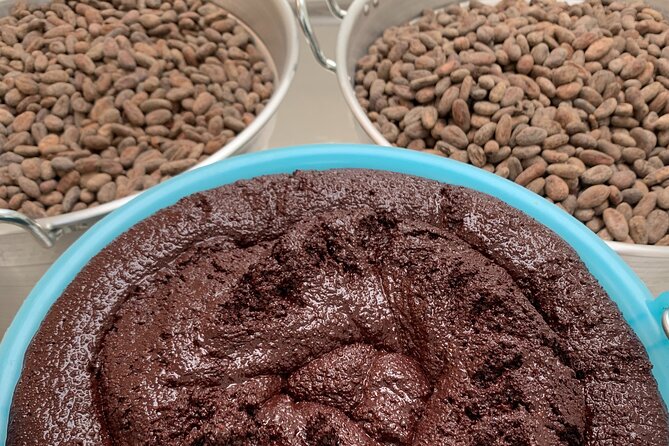 Guided Tour of the Artisan Chocolate Factory in Tuscany - Meeting and Accessibility