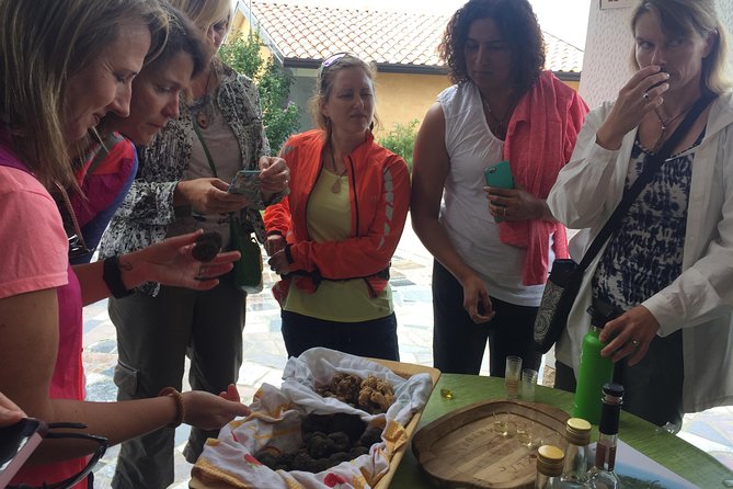 Guided Truffle Hunt Istria - Inclusions and Exclusions