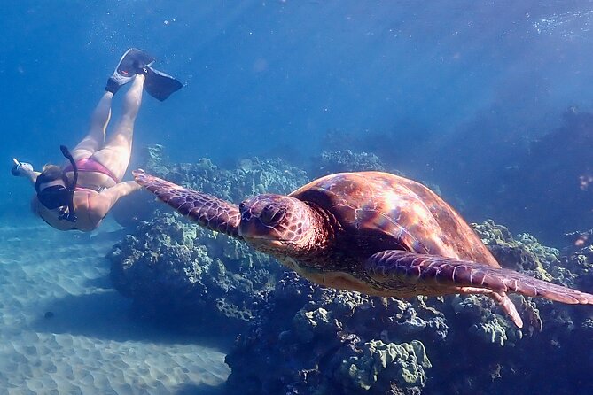 Guided Turtle Town Snorkeling Tour With Underwater Photos - Experience Highlights