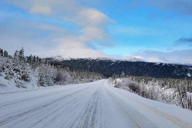Guided Winter Wonderland Tour to Canada - Participation Guidelines and Accessibility