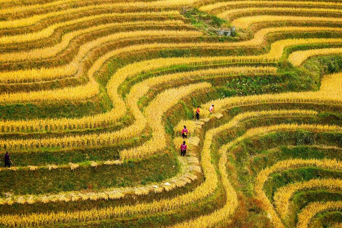 Guilin: Longji Rice Terraces and Villages Private Day Tour - Itinerary Overview