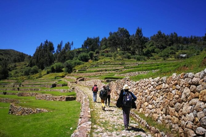 Half Day Acclimatization Hike With Llamas and Alpacas in Cusco - Exploring Ancient Inca Trails
