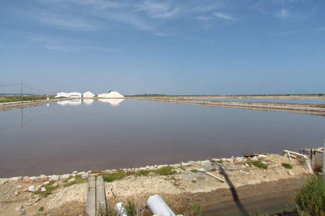 Half-Day Birdwatching Around Tavira - Cancellation and Refund Policy