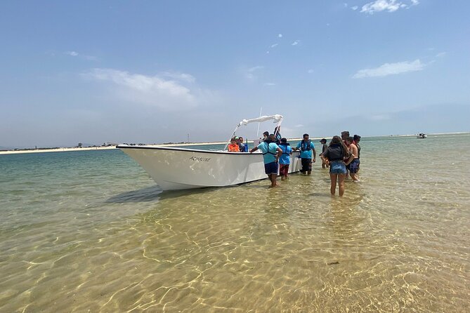 Half-Day Boat Trip to the Ria Formosa Islands - Accessibility and Recommendations
