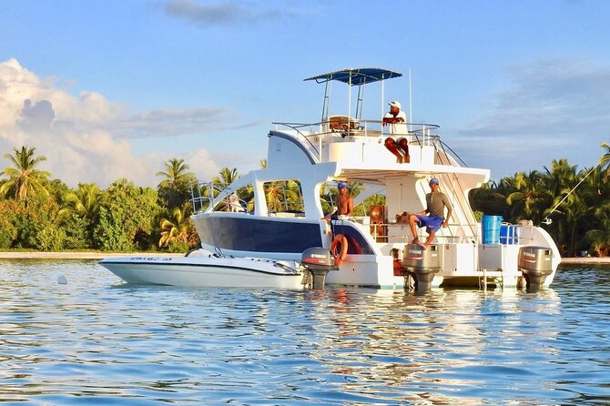 Half Day Catamaran Snorkeling - Meeting and Pickup Details
