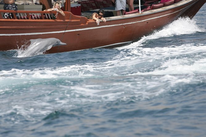 Half Day Dolphin Watching Musandam Dhow Cruise - Dolphin Sightings and Dhow Cruising