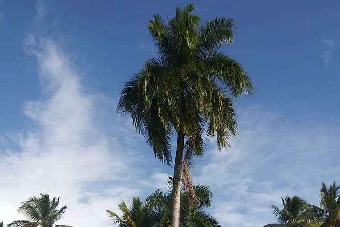 Half Day Dominican Safari Experience ... / Half Day Safari Excursion - Health and Safety Recommendations