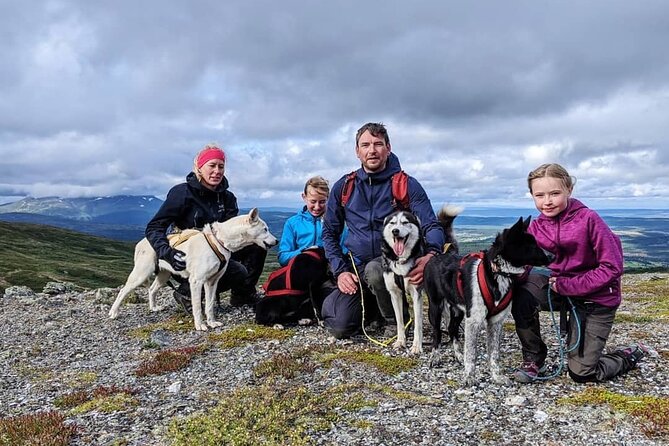 Half Day Guided Walk With Huskies - Additional Information