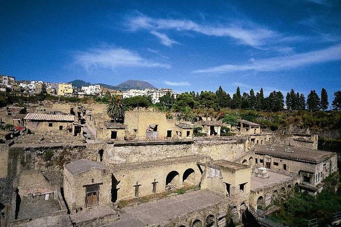 Half Day Herculaneum From Sorrento - Inclusions