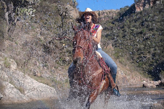 Half-Day Horseback Riding Adventure - Provider and Location Details