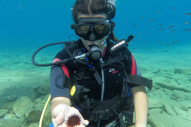 Half-Day Introduction to Scuba Diving Course  - Crete - Diving Lessons and Skills