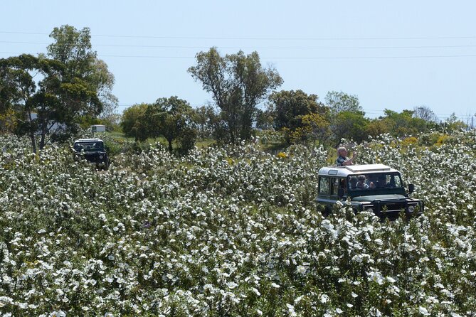 Half-Day Nature Safari in the Algarve - Getting to the Meeting Point
