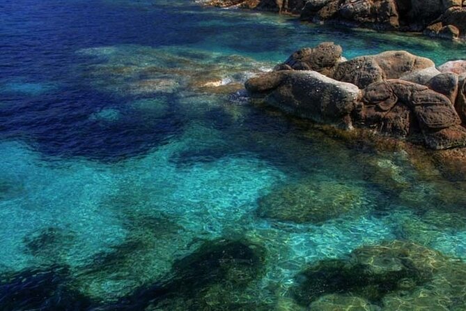 Half Day of Snorkeling and a Swim on Elba Island - Meeting and Pickup
