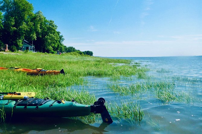 Half-Day Orleans Island Small-Group Sea Kayaking Tour - Included Gear and Amenities