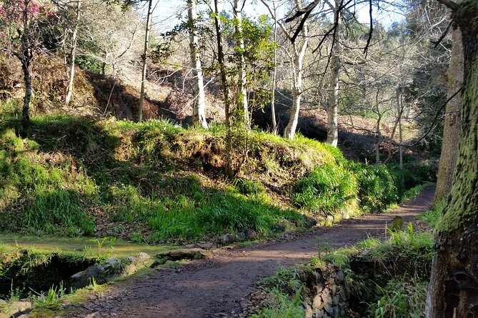 Half-Day Paradise Valley Walking Tour - Itinerary Details