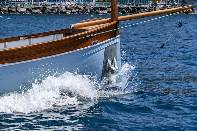 Half Day Private Cruise to Ieranto in Gozzo Hybrid - Included Amenities