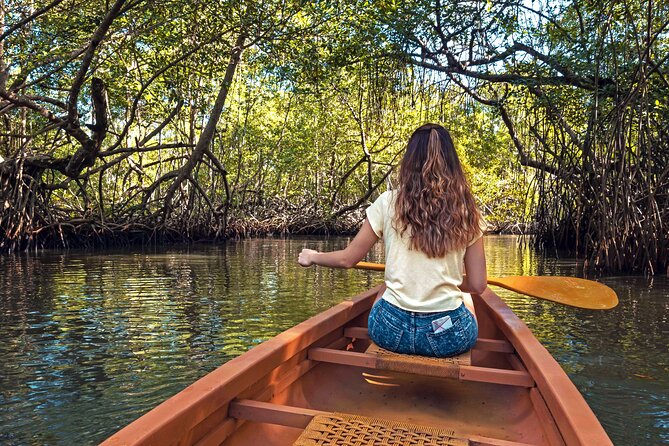 Half-Day Private Los Haitises Caves and Mangroves Canoe Tour - Meeting and Pickup