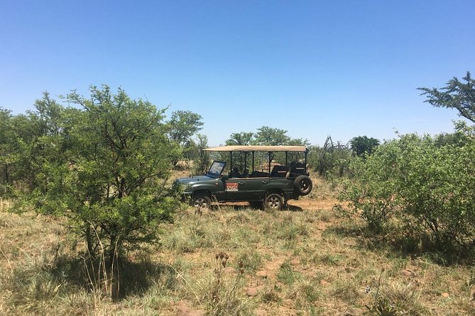 Half Day Safari Tour From Johannesburg - Wildlife Experience