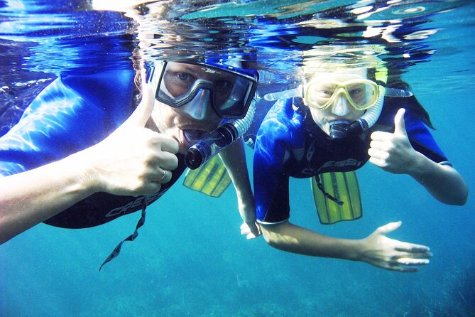 Half Day Snorkelling Experience With a Dive Boat in Kos Greece - Liamis Dive Centre and Boat