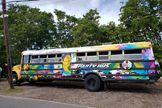 Half Day St. Kitts Party Bus City Excursion and Beach - Inclusions and Amenities