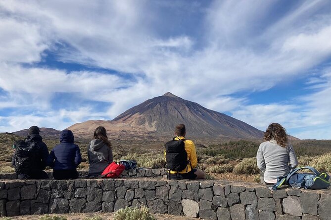 Half-Day Volcanic Experience in Teide, Tenerife - Hiking the Volcanic Trails