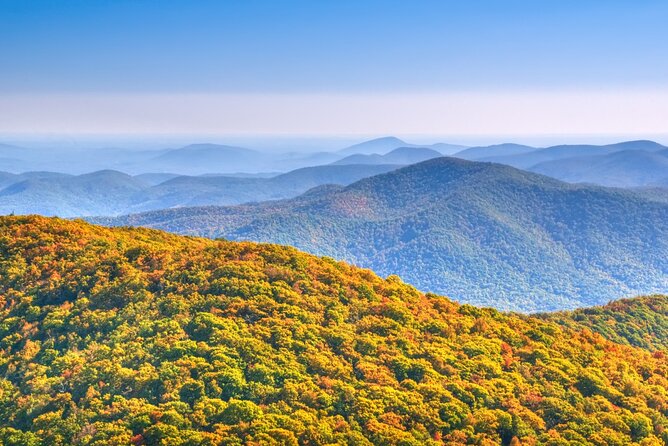 Half-Day Wine Tastings in the North Georgia Mountains - Whats Included