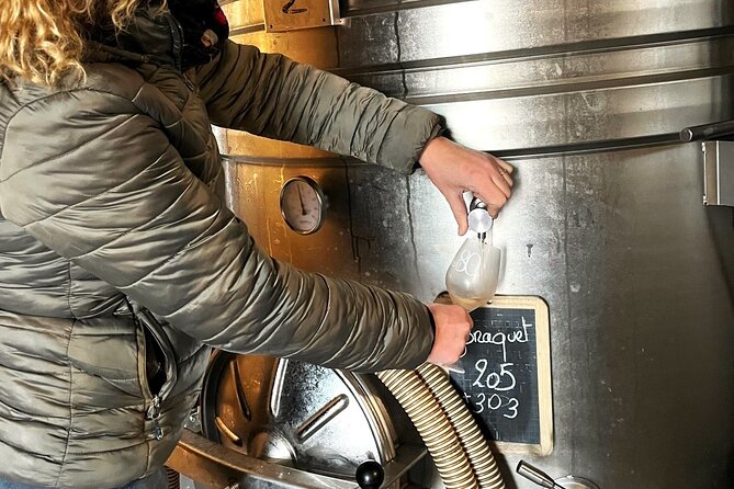 Half Day Wine Tour in Coteaux Aix From Aix En Provence - Traveler Reviews and Feedback