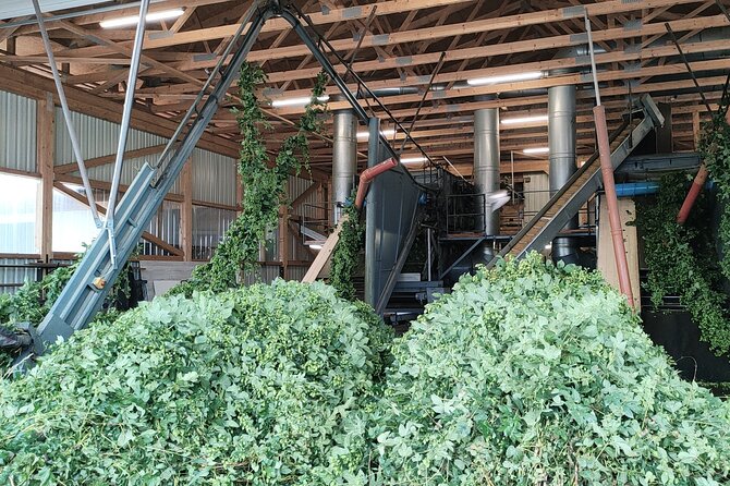Hallertau Experience With Hop Harvest, Lunch and Hop Museum - Tour Inclusions