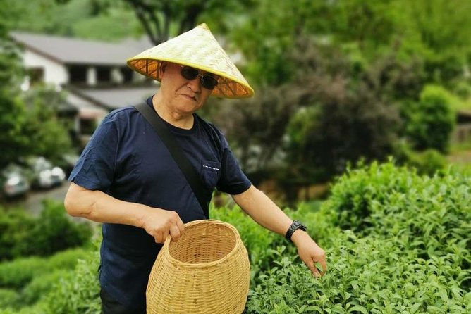 Hangzhou West Lake and Tea Plantation Half Day Tour - Inclusions and Amenities