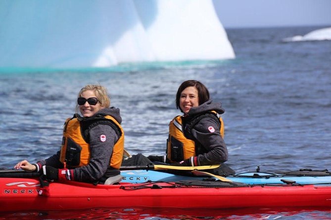 Harbour Kayak Tour - Location and Duration