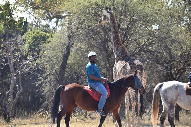 Harties Horse Trail Safari Half Day - Inclusions