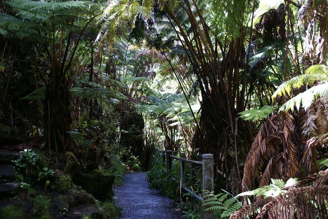 Hawaii Volcanoes National Park Experience From the Big Island - Health and Safety Precautions