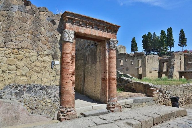 Herculaneum & Pompeii Experience With Wine Tasting & Easy Lunch - Wine Tasting Experience