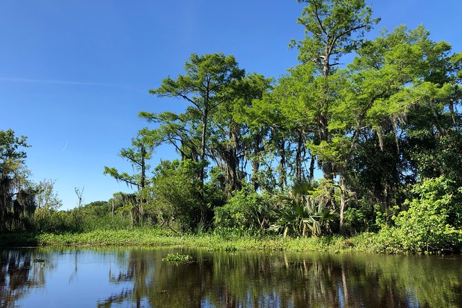 Highlights of New Orleans City and Swamp Tour Combination - Exploring the French Quarter