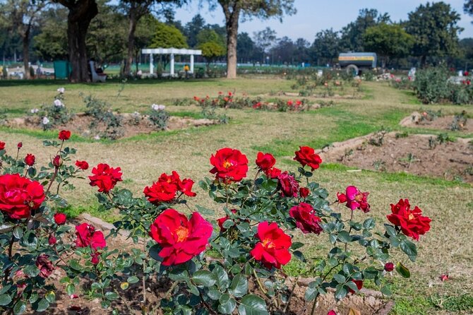Highlights of the Chandigarh (Guided Half Day City Tour) - Key Landmarks Visited