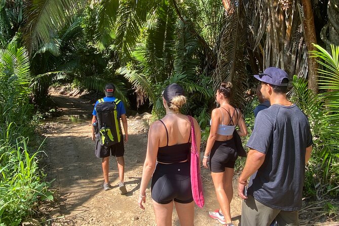 Hike and Yoga Jungle Experience in Mexico - Hiking Through the Forest