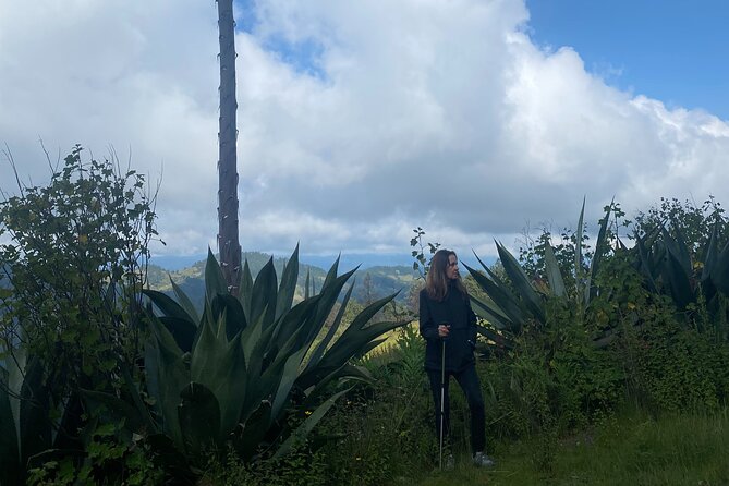 Hike in the Sierra Norte, Cuajimoloyas - Tour Details and Inclusions