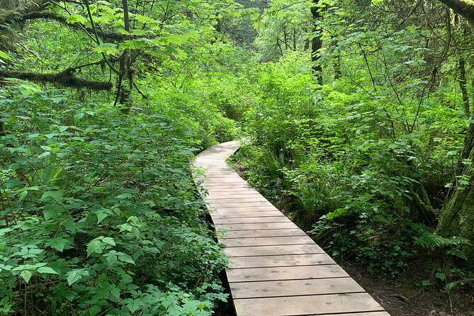 Hike Lynn Canyon and Bike Seymour Demonstration Forest - Itinerary Details