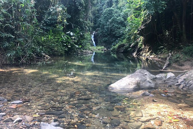 Hike to Paria Waterfall Trinidad Most Spectacular Waterfall. - Health and Safety