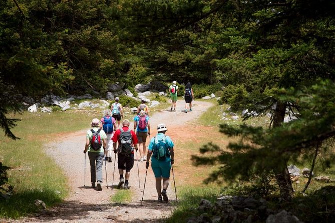 Hiking Above Kalamata - Meeting and End Point