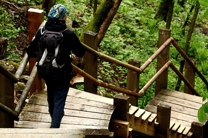 Hiking Adventure in Sigulda and Latvian Food Tasting - Hiking Trails and Scenic Viewpoints