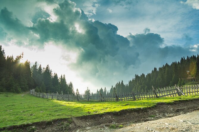 Hiking Adventure in the Central Balkan National Park - Physical Requirements