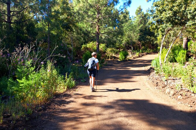 Hiking Classic Tenerife - Meet Your Guide
