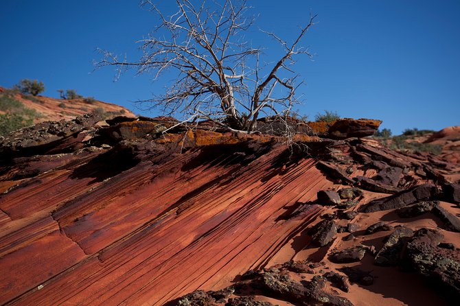 Hiking in Kanab: Walk and Photograph the Incredible Wire Pass Slot Canyon! - Preparing for the Hiking Excursion