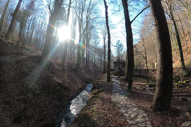 Hiking Medvednica & Medvedgrad Castle - Medvedgrad Castle History