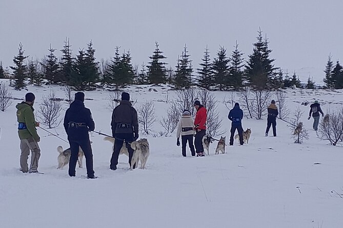 Hiking With Husky in Akureyri - Hiking Trail Experience