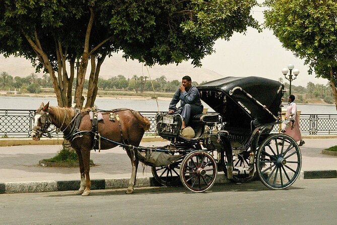 Horse Carriage City Tour in Luxor City With Meal and Soft Drink - Pickup Information