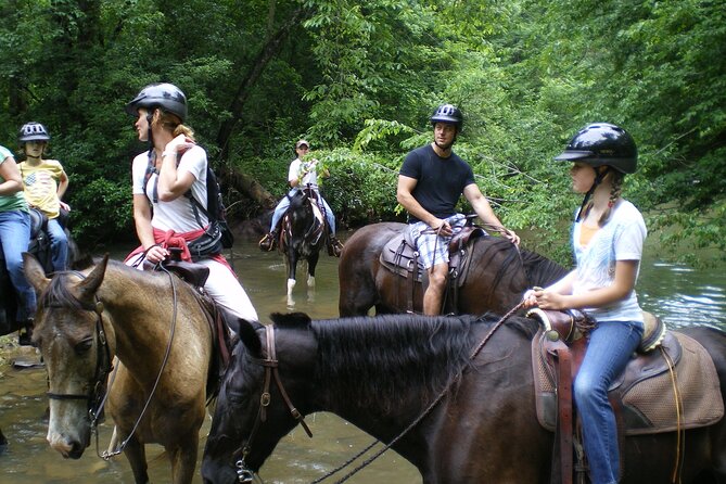 Horse Ride in Taghazout or Agadir - Choosing Your Ride Time